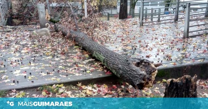 24899967_1580064218696298_3275353145456788521_n