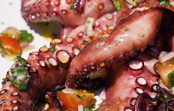 confit de polvo