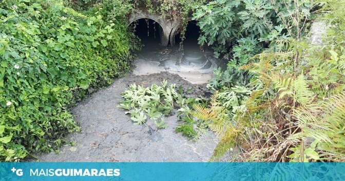caldelas-barra
