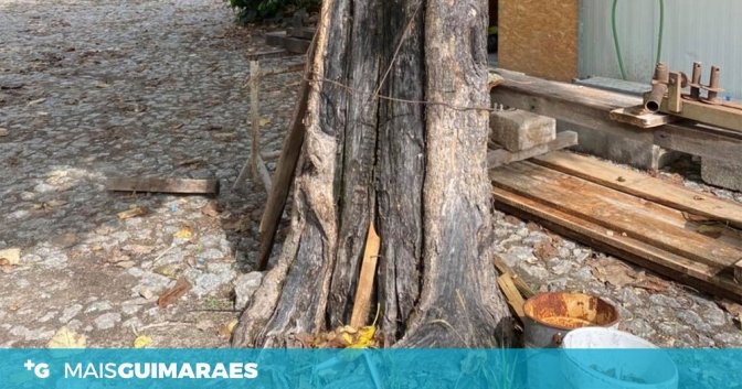 taipas-barra