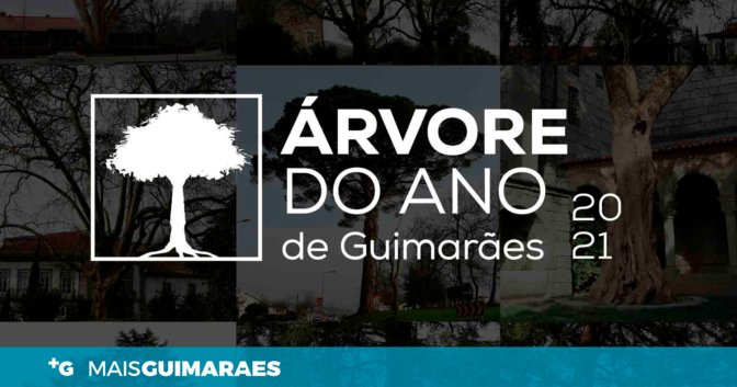 Árvore-do-Ano-barra