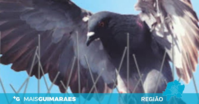 barra_pombo_região