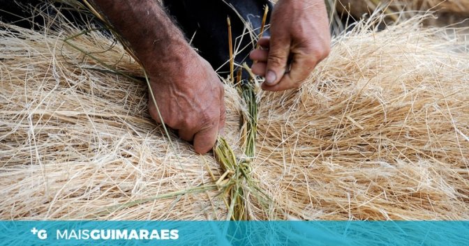 alinho-corredoura-barra_fb