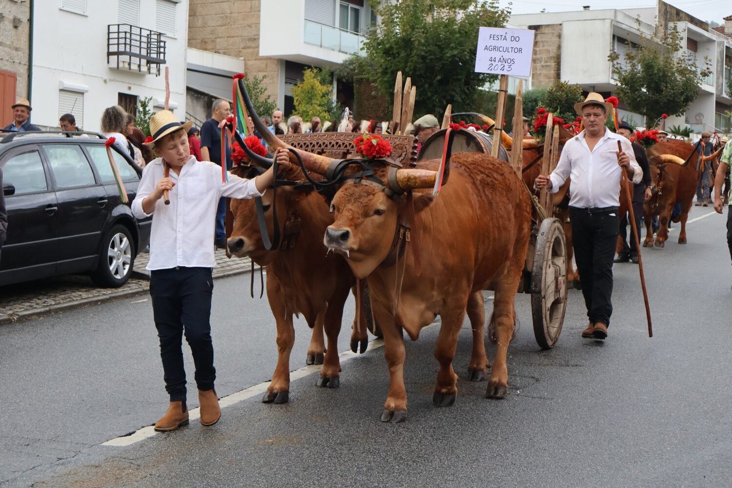 Festa Do Agricultor Mais Guimar Es